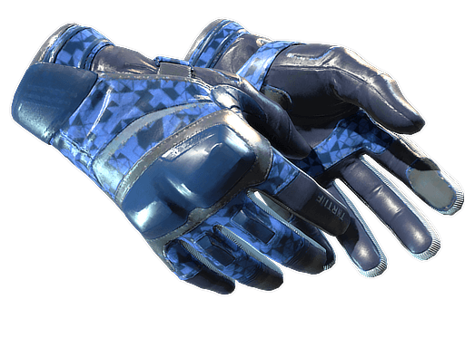 ★ Moto Gloves | Polygon