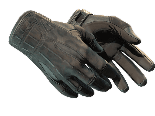 ★ Sport Gloves | Nocts