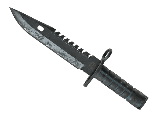 ★ M9 Bayonet | Night